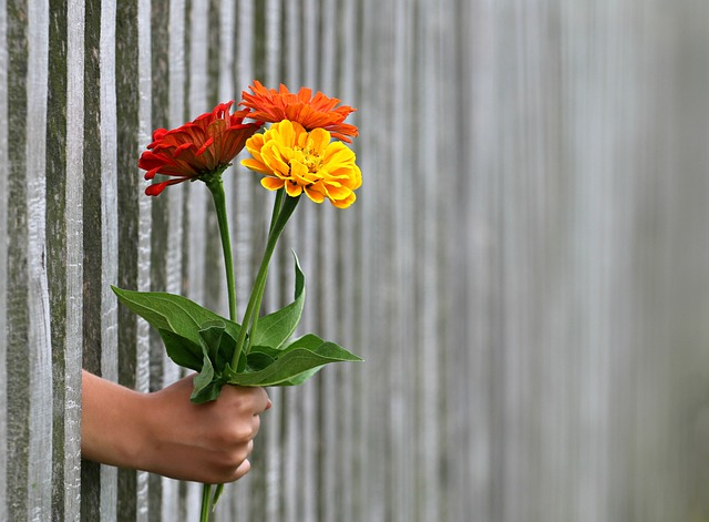 Palabras bonitas de amor