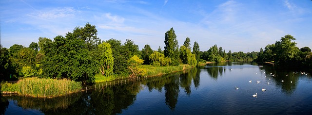 Hyde park à Londres