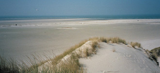 Frisian Islands