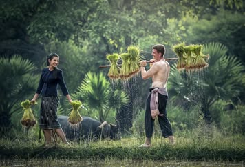 Farming Farming
