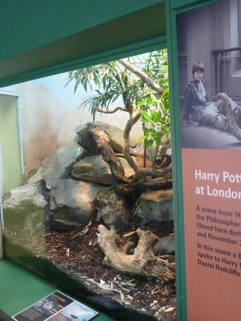 London Zoo snake enclosure with Harry Potter plaque London Zoo snake enclosure with Harry Potter plaque