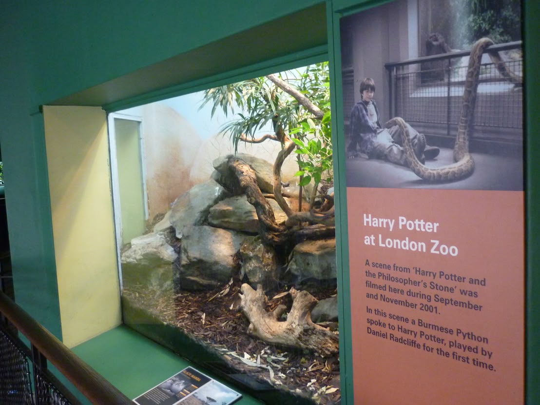 Snake enclosure Snake enclosure